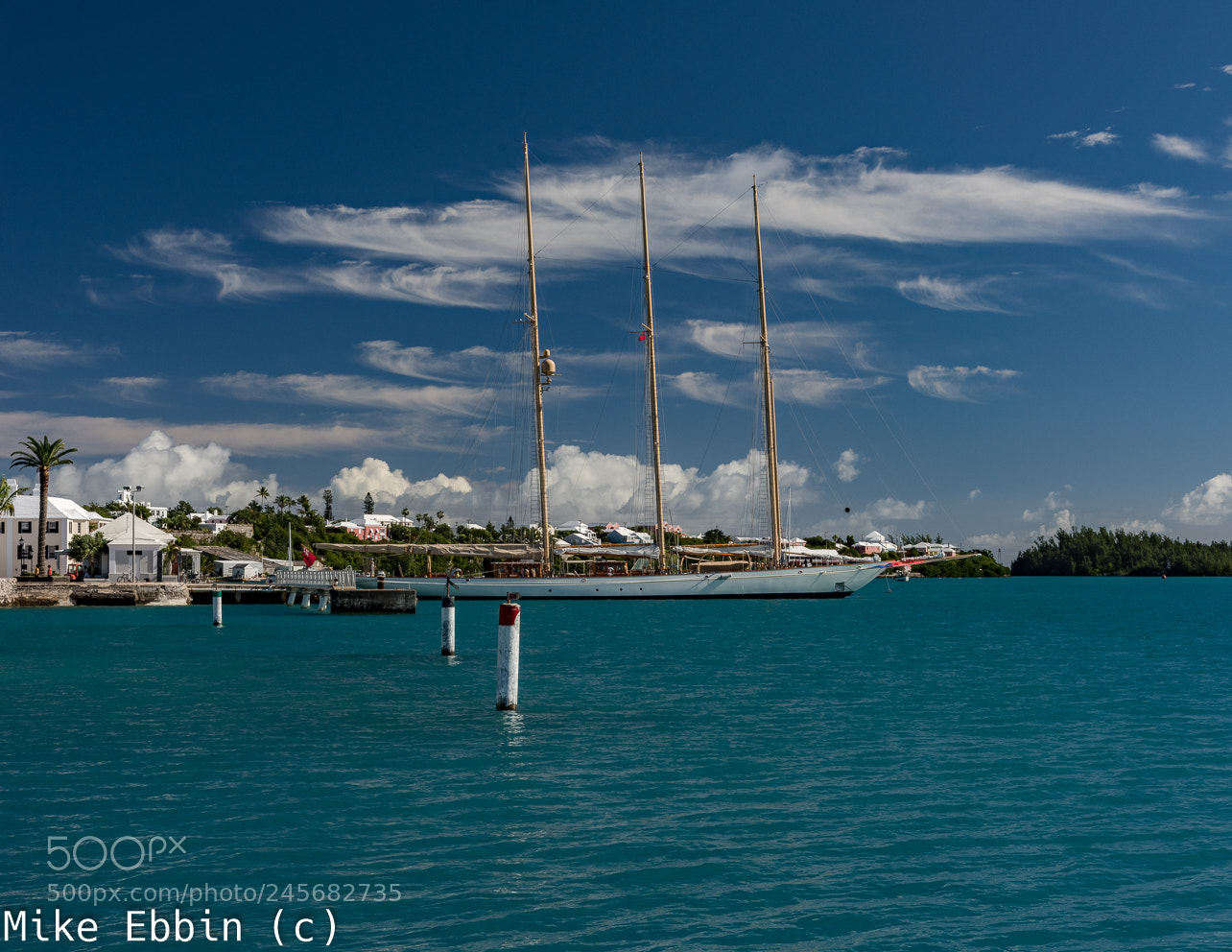 Nikon D810 sample photo. Cme photography