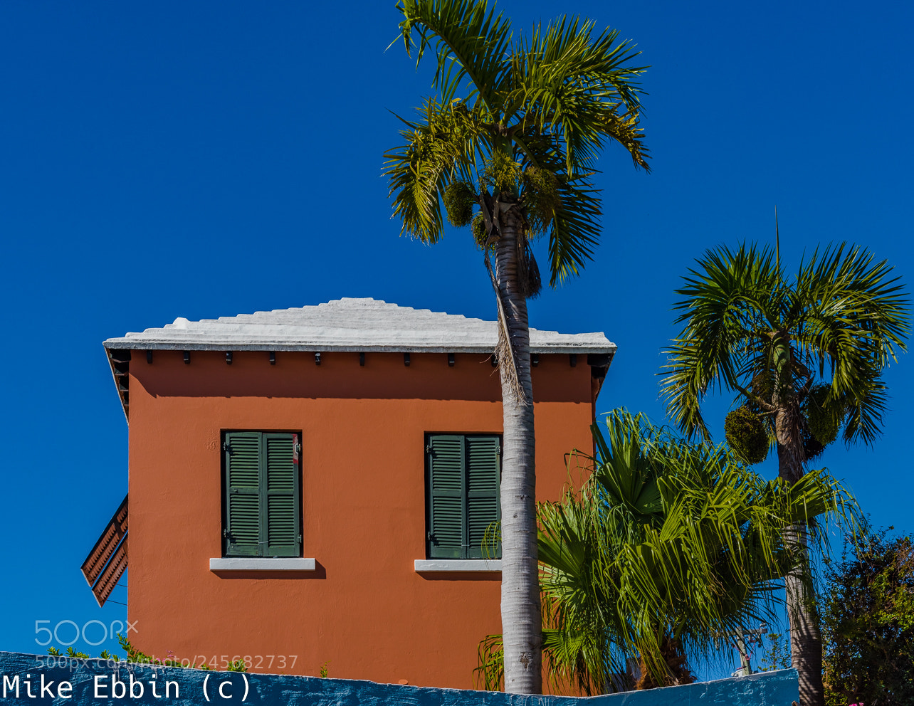 Nikon D810 sample photo. Cme photography
