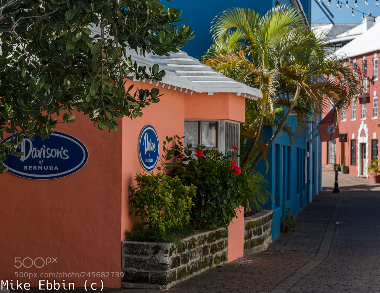 Nikon D810 sample photo. Cme photography