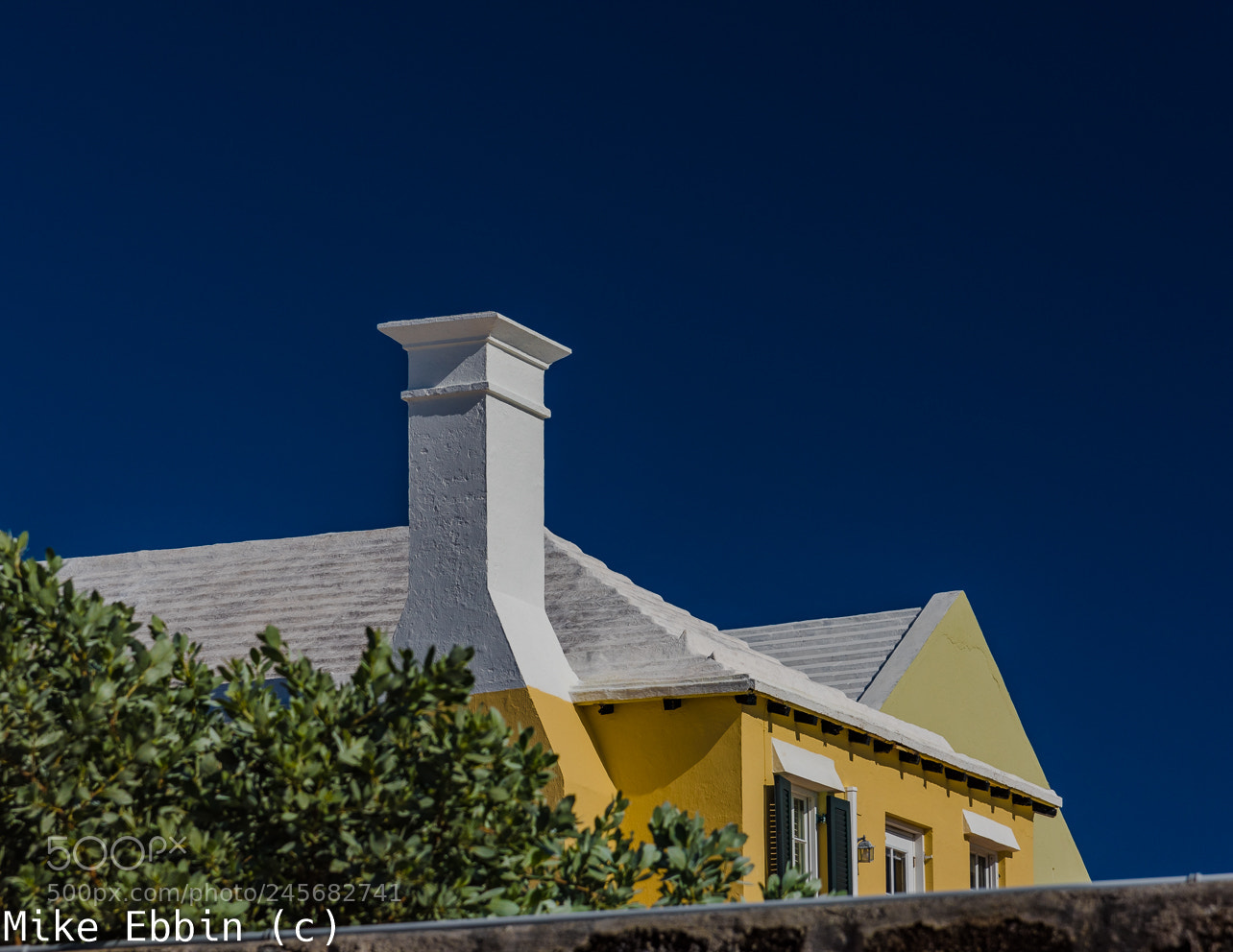 Nikon D810 sample photo. Cme photography