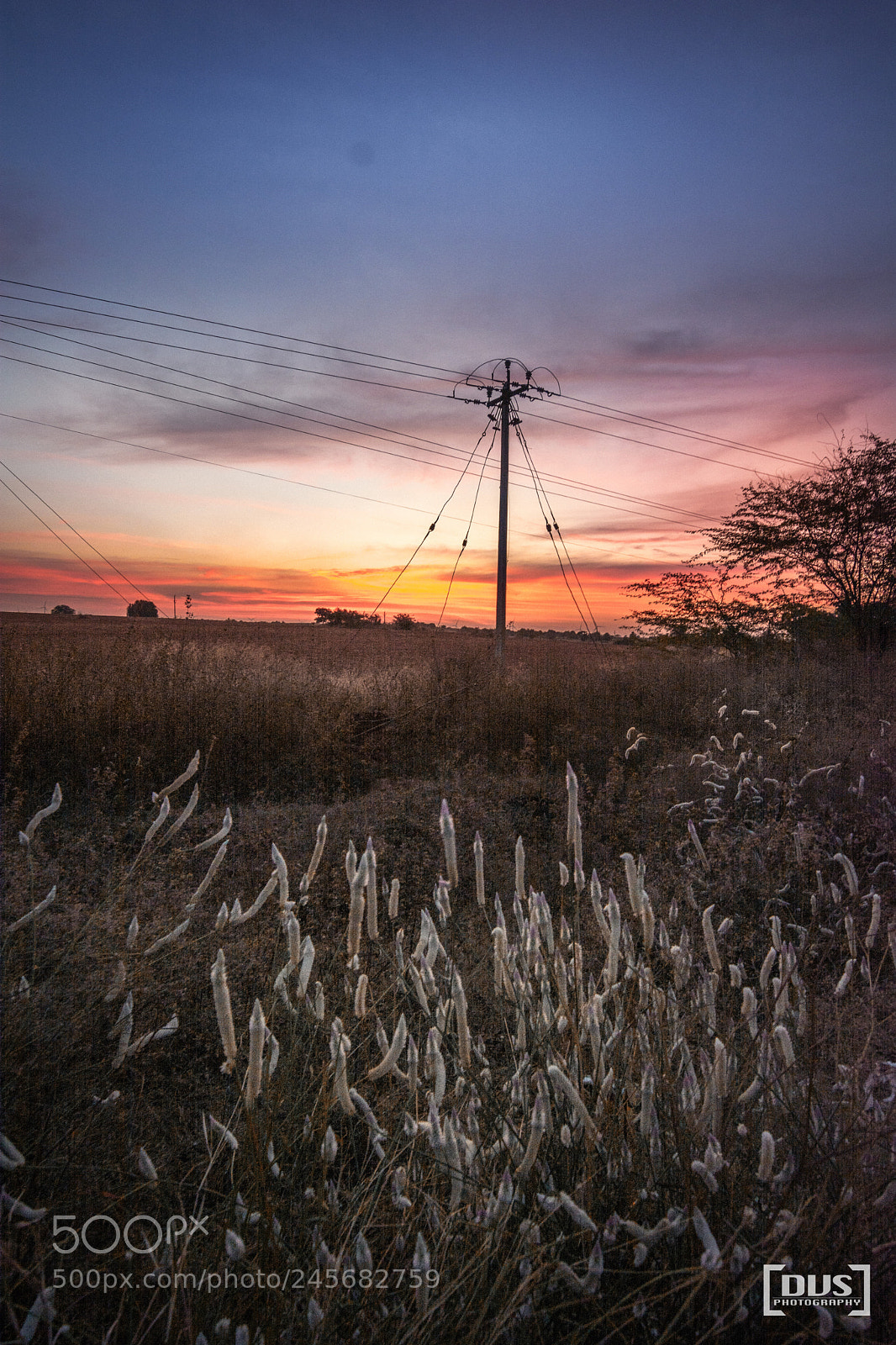 Nikon D5200 sample photo. Adieu..! photography