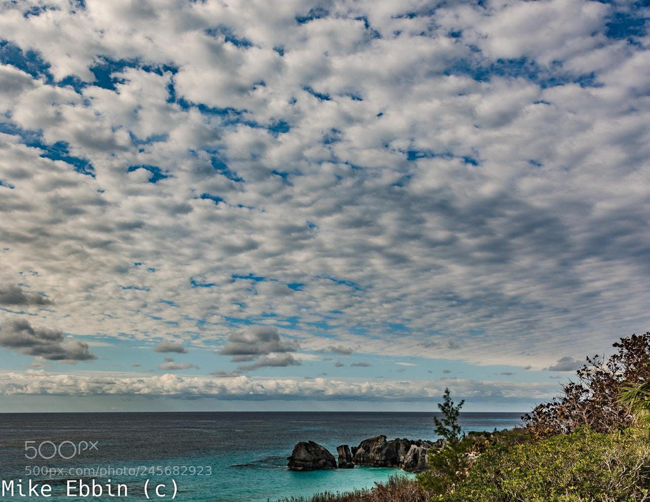 Nikon D810 sample photo. Cme photography