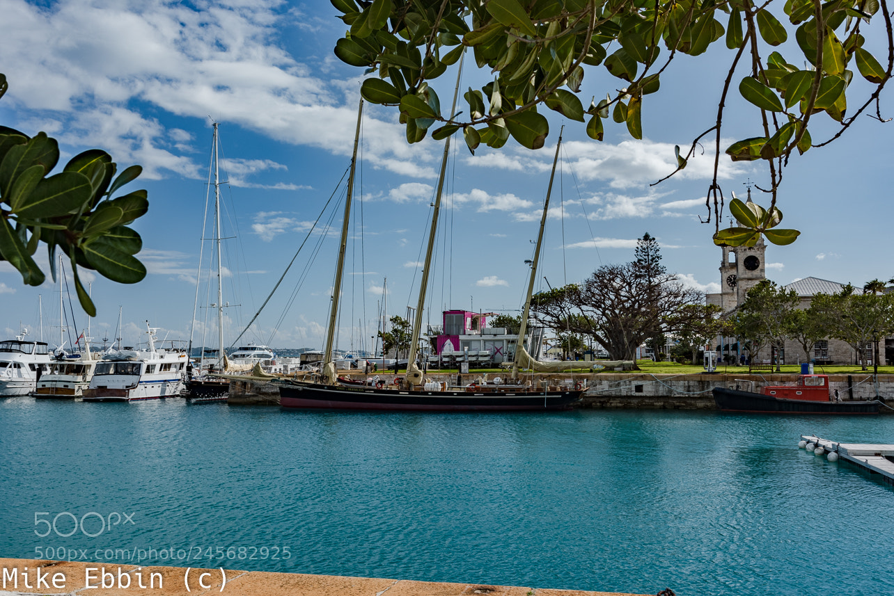 Nikon D810 sample photo. Cme photography