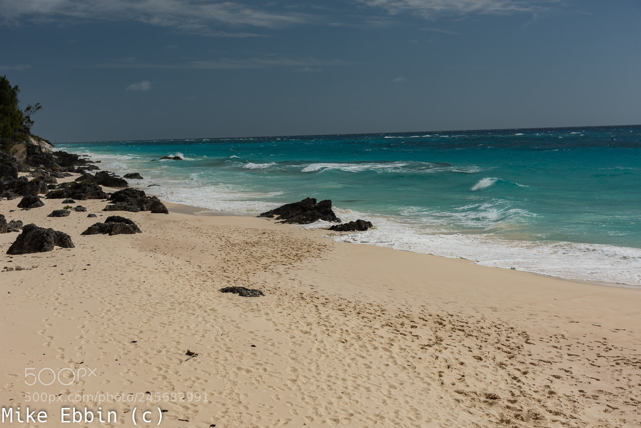 Nikon D810 sample photo. Cme photography