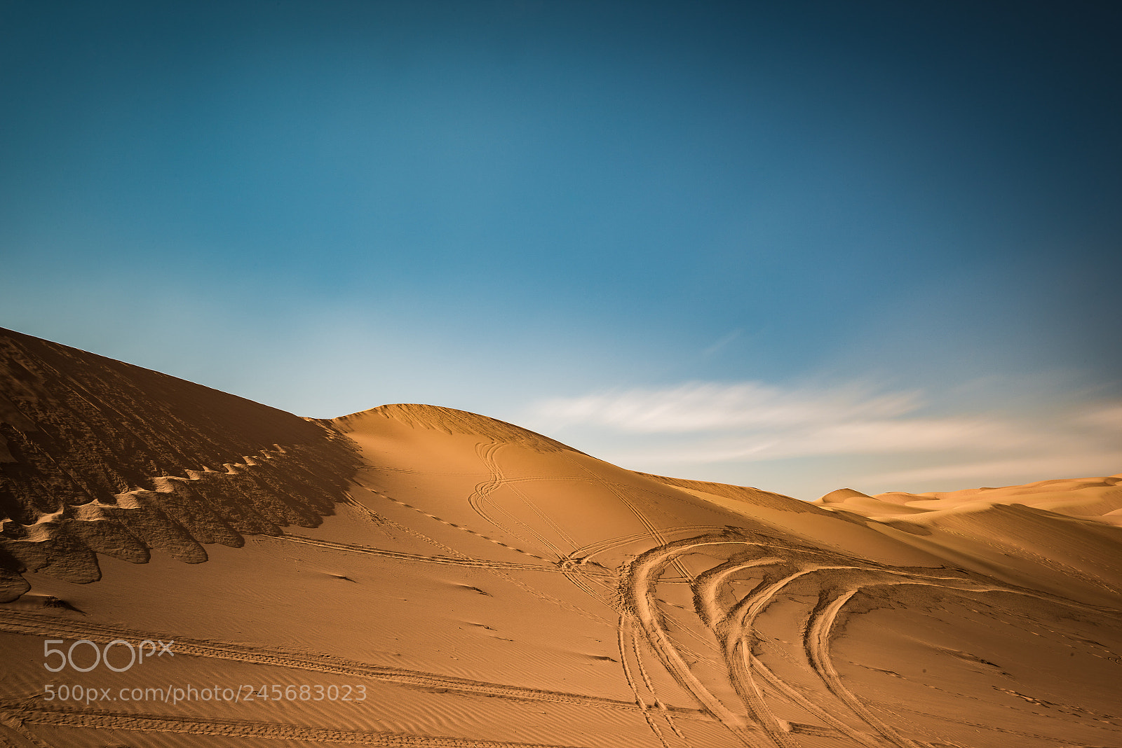 Nikon D810 sample photo. Tracks of life photography