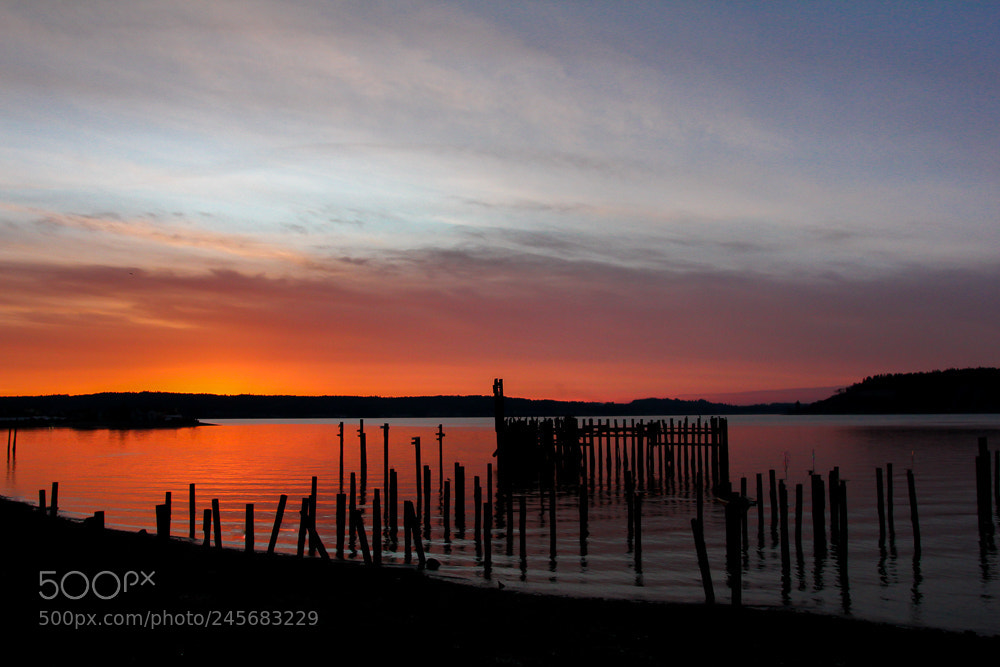 Canon EOS 60D sample photo. Titlow park sunset photography