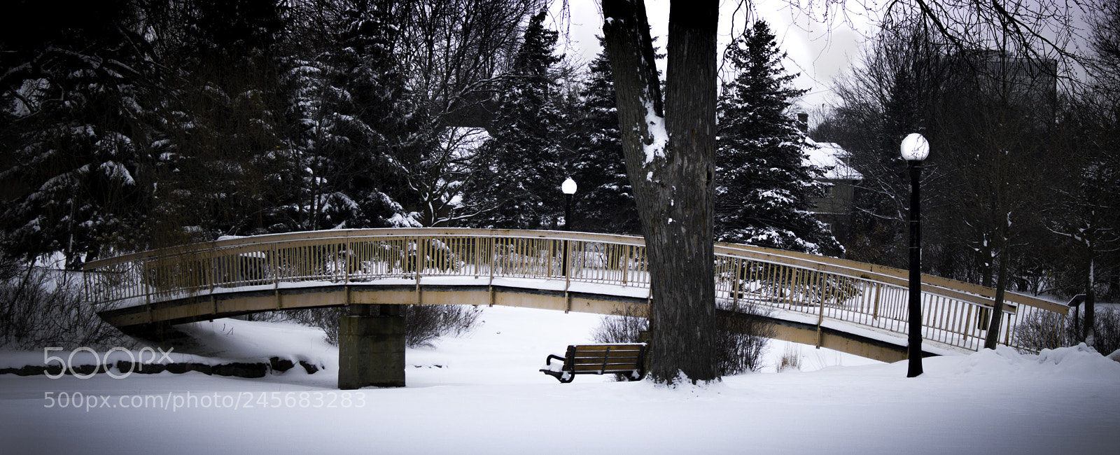 Canon EOS 750D (EOS Rebel T6i / EOS Kiss X8i) sample photo. Victoria park photography