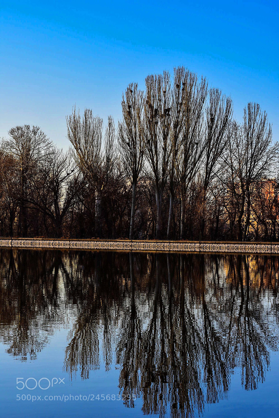 Nikon D7200 sample photo. Reflection photography photography