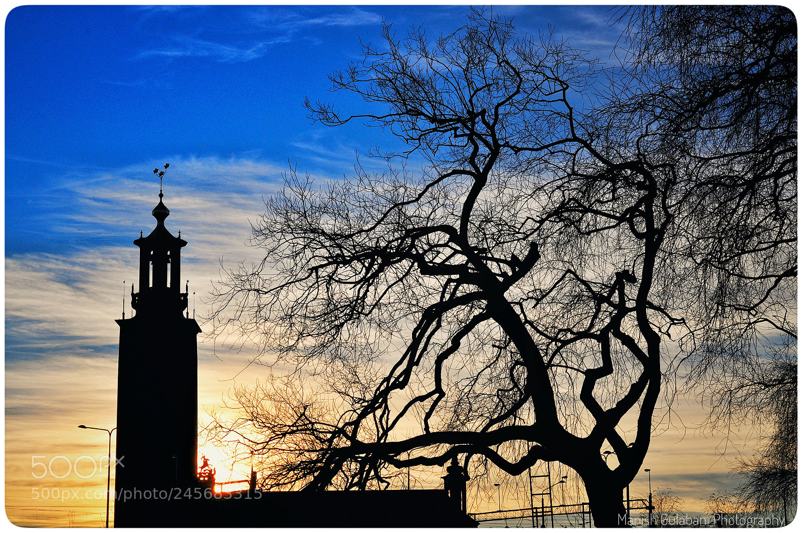 Nikon D5000 sample photo. Evening silhouette photography