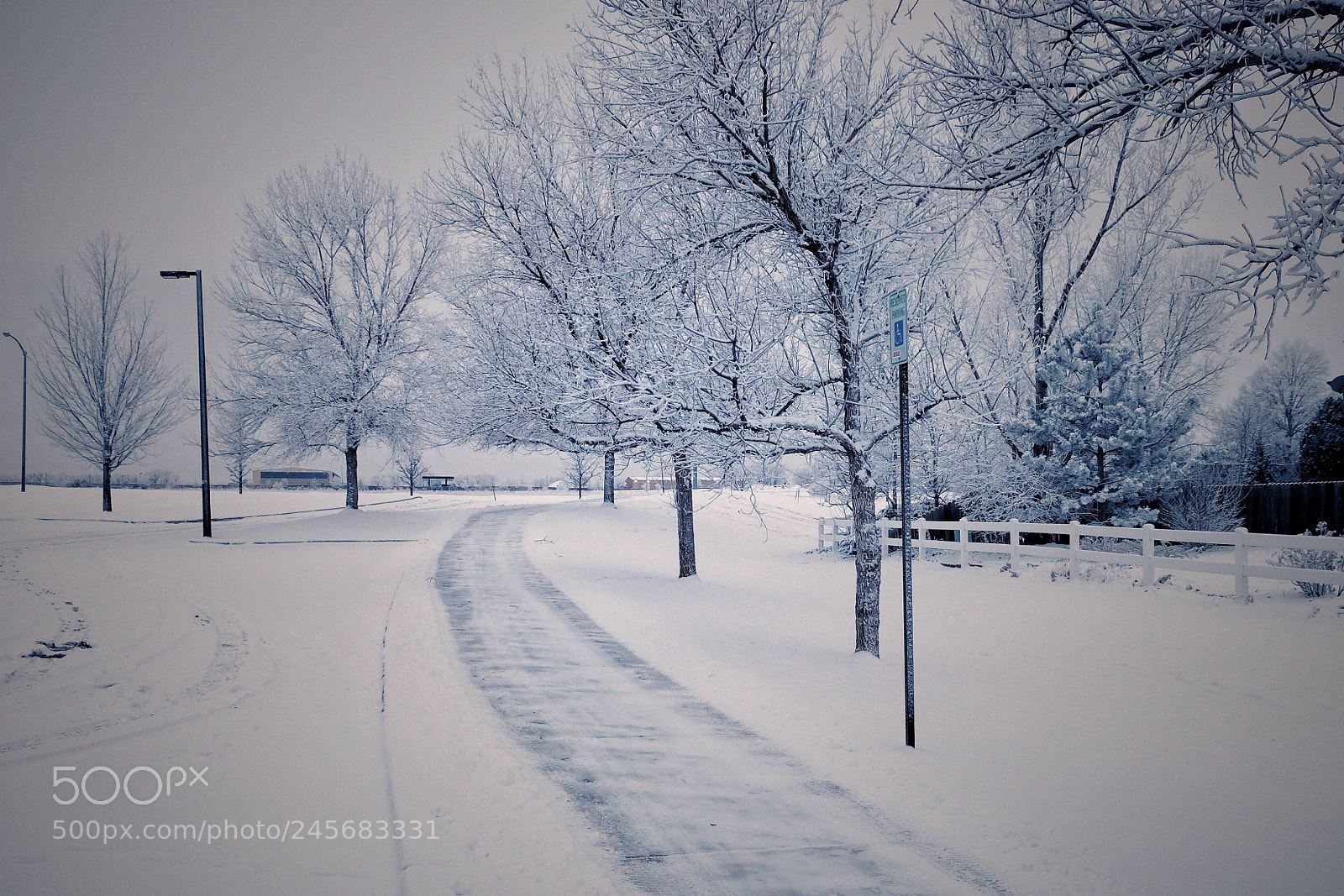 Fujifilm X-T10 sample photo. Cold february in colorado photography