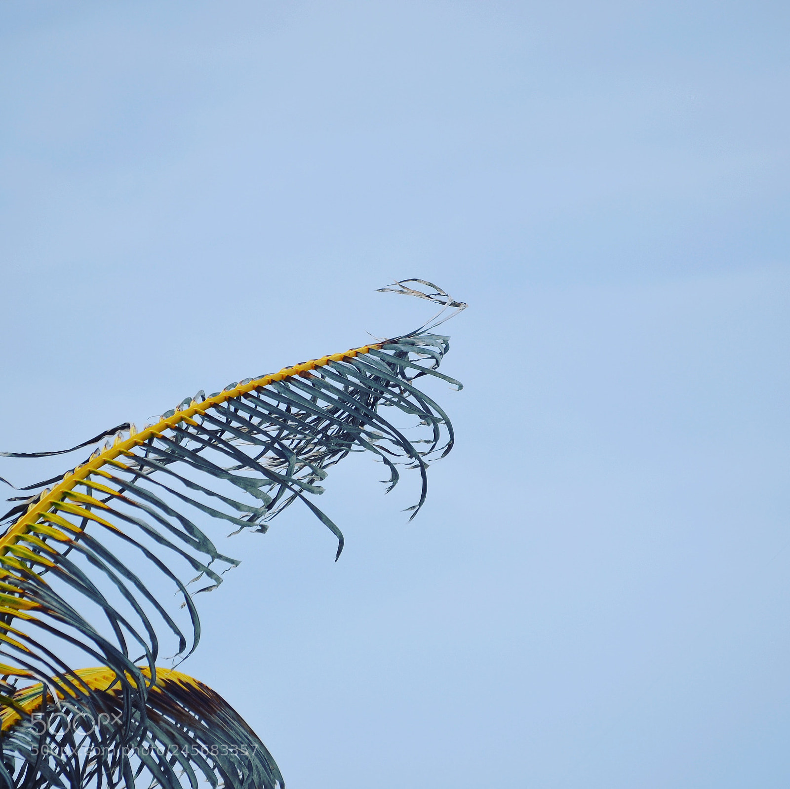 Nikon D5100 sample photo. Breeze photography