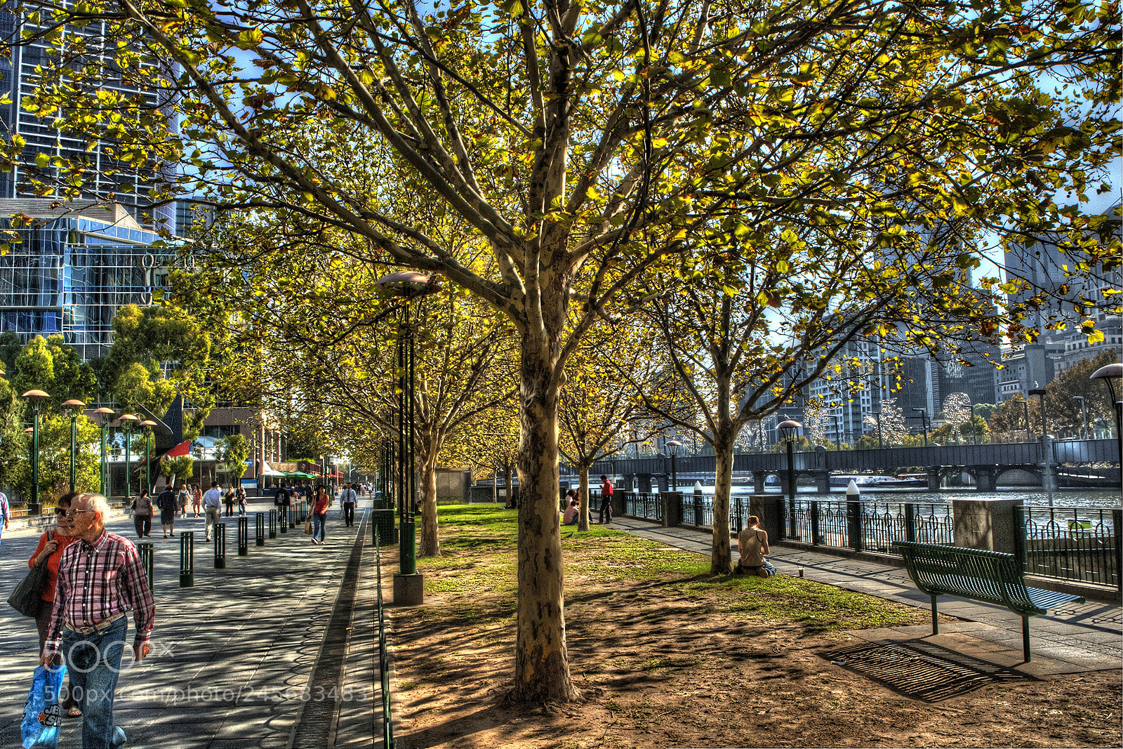 Canon EOS-1D Mark II sample photo. Southbank photography