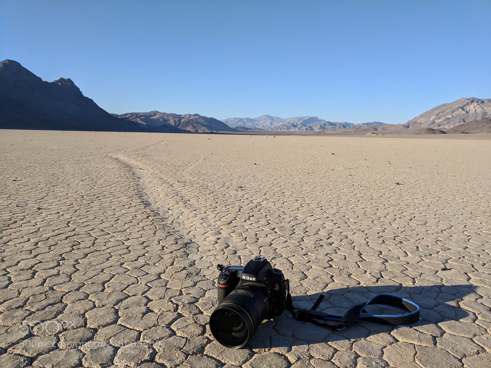 Google Pixel sample photo. The mysterious moving camera! photography