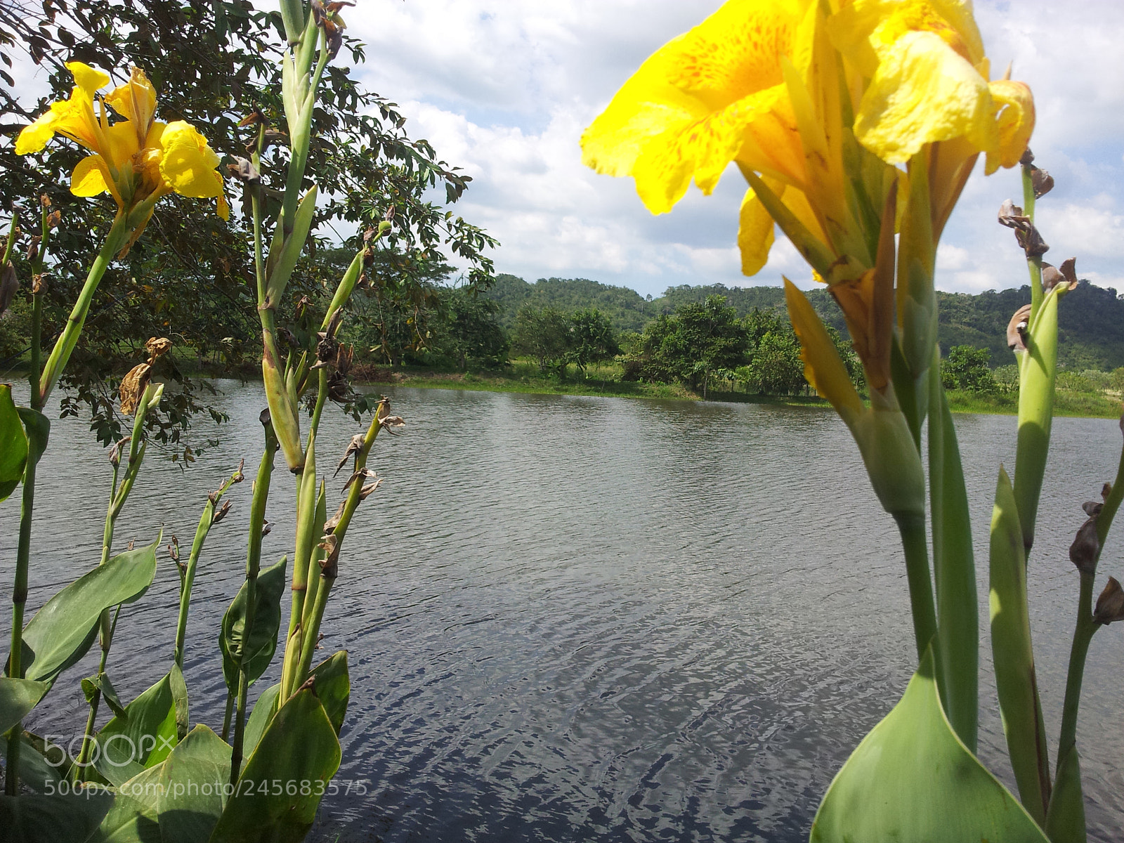 Samsung Galaxy S2 sample photo. Untitled photography