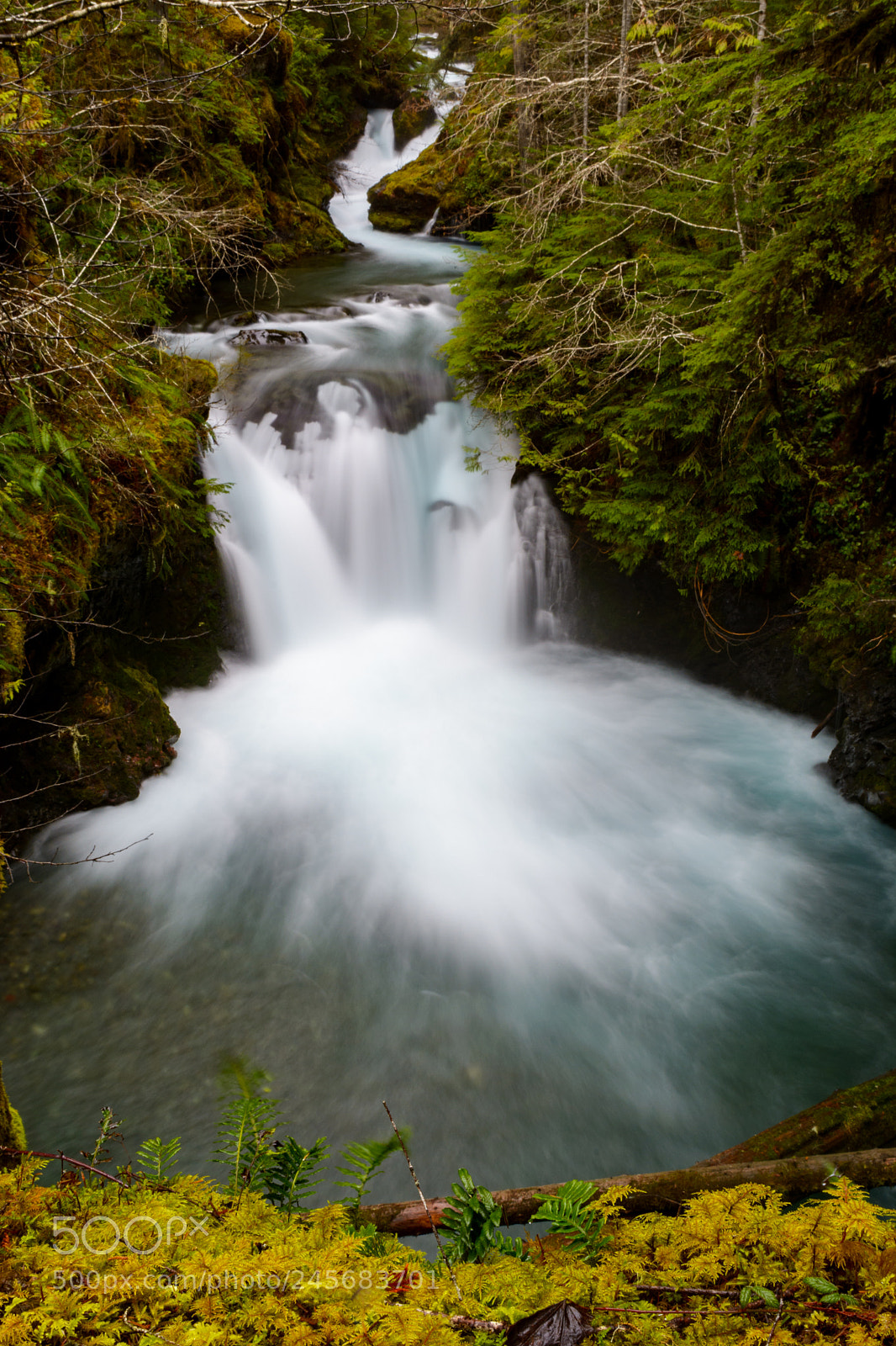 Nikon D7100 sample photo. Jefferson creek photography