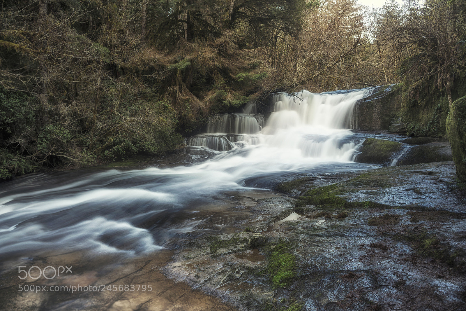 Sony a7 sample photo. Alsea falls photography