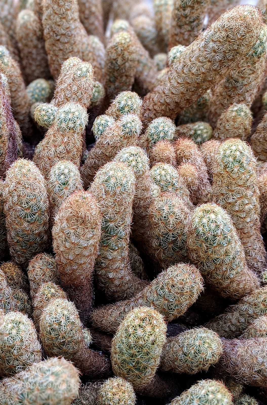 Google Pixel 2 sample photo. Untitled photography