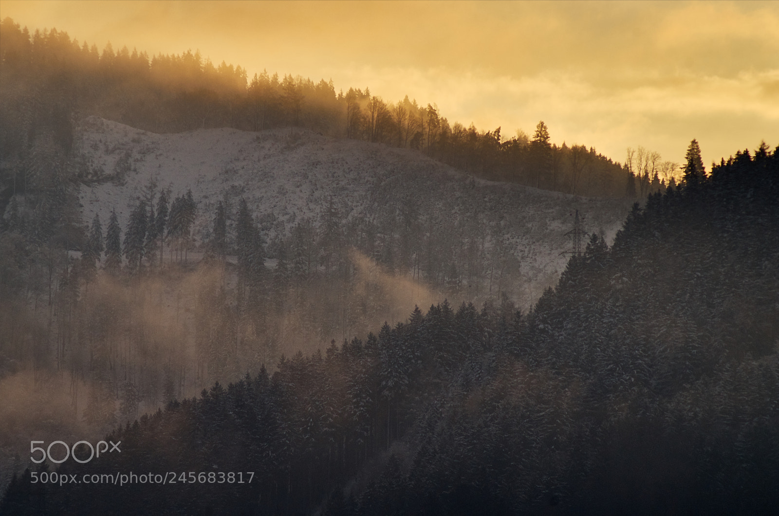 Pentax K-30 sample photo. Golden morning ... photography