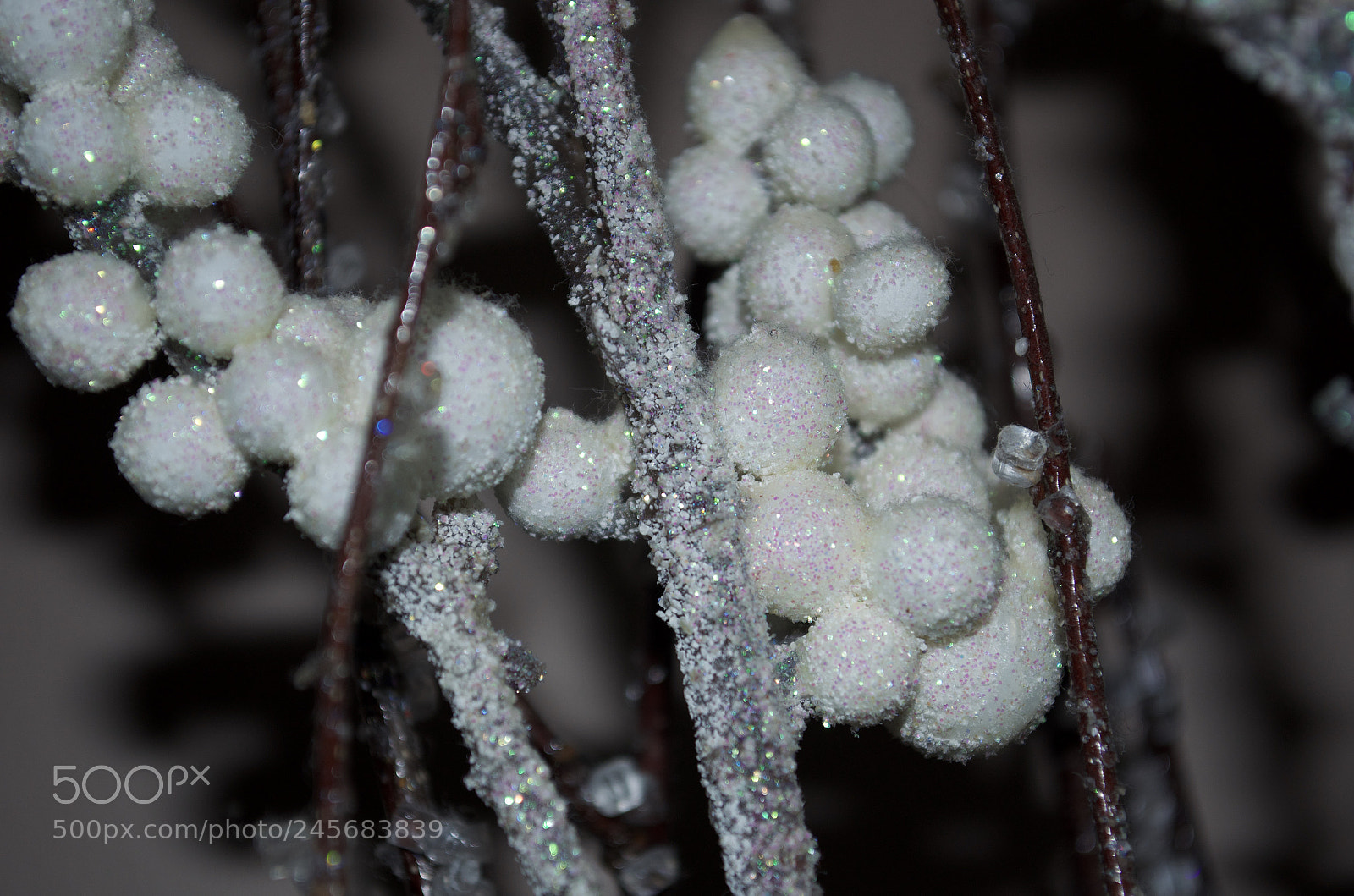 Nikon D5100 sample photo. Detail photography