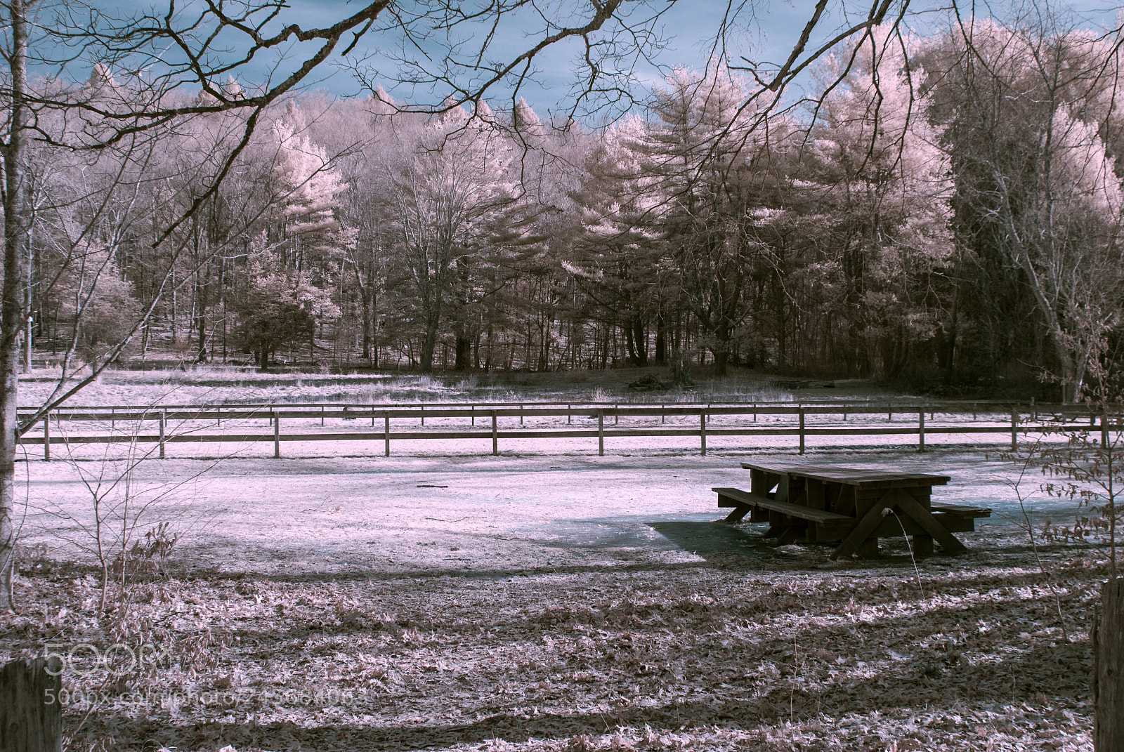 Nikon D40X sample photo. A quiet picnic table photography