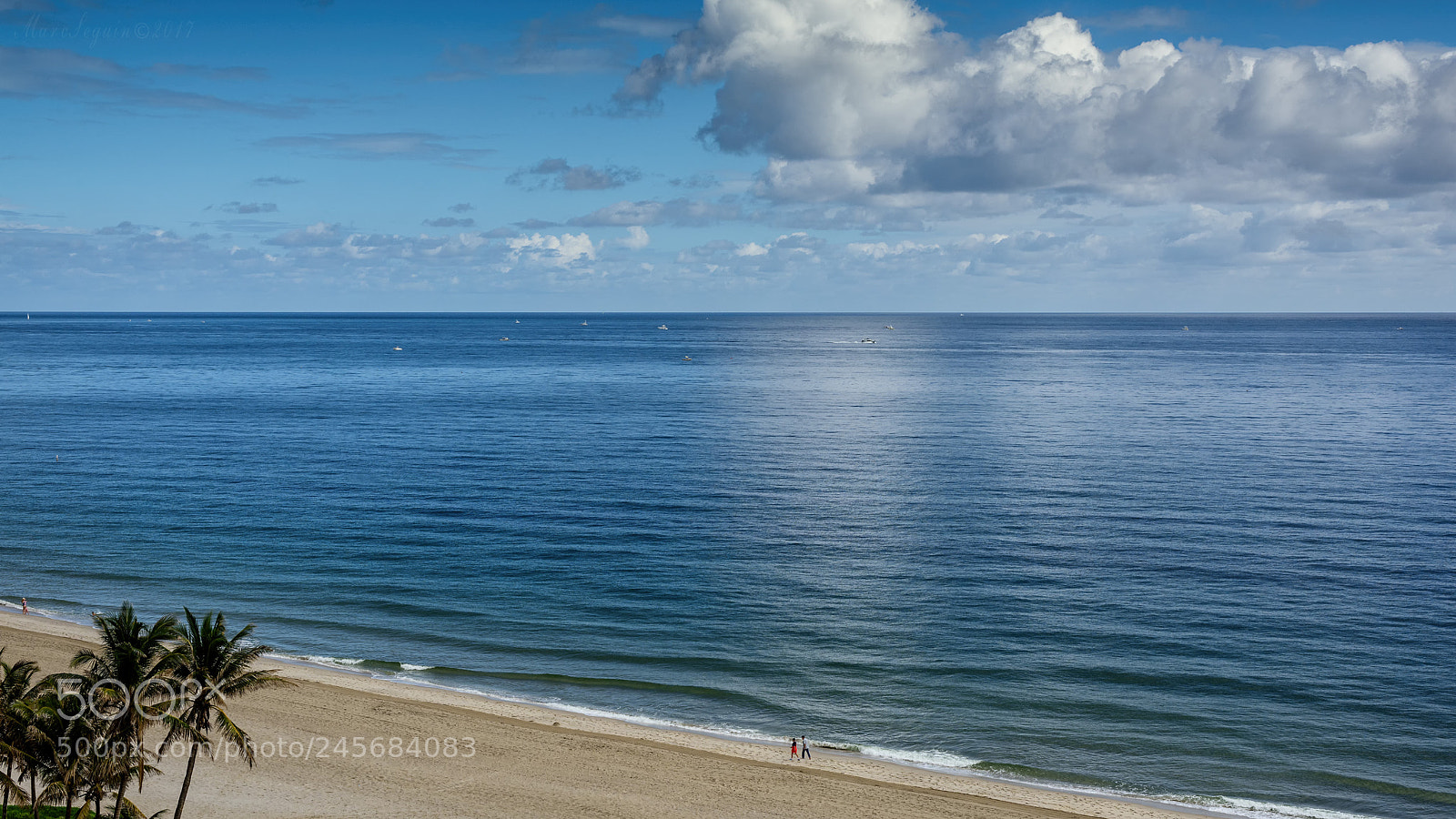 Nikon D810 sample photo. Pompano... photography