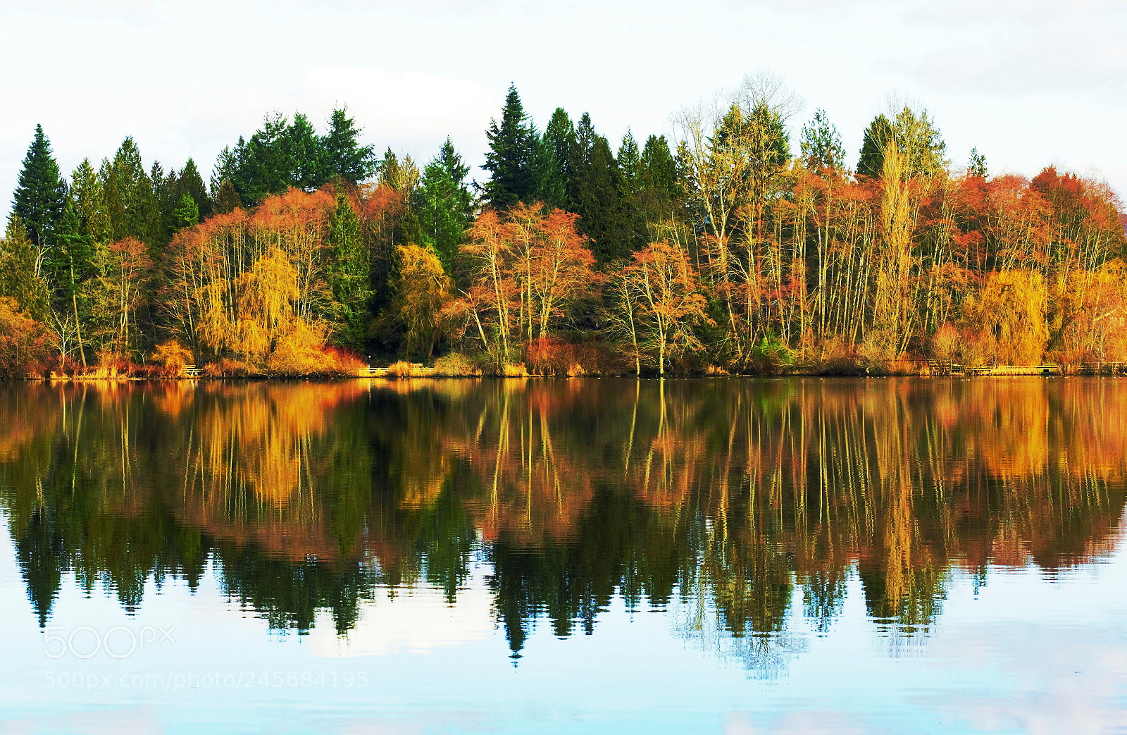 Canon EOS 60D sample photo. Reflections -- 对岸 photography
