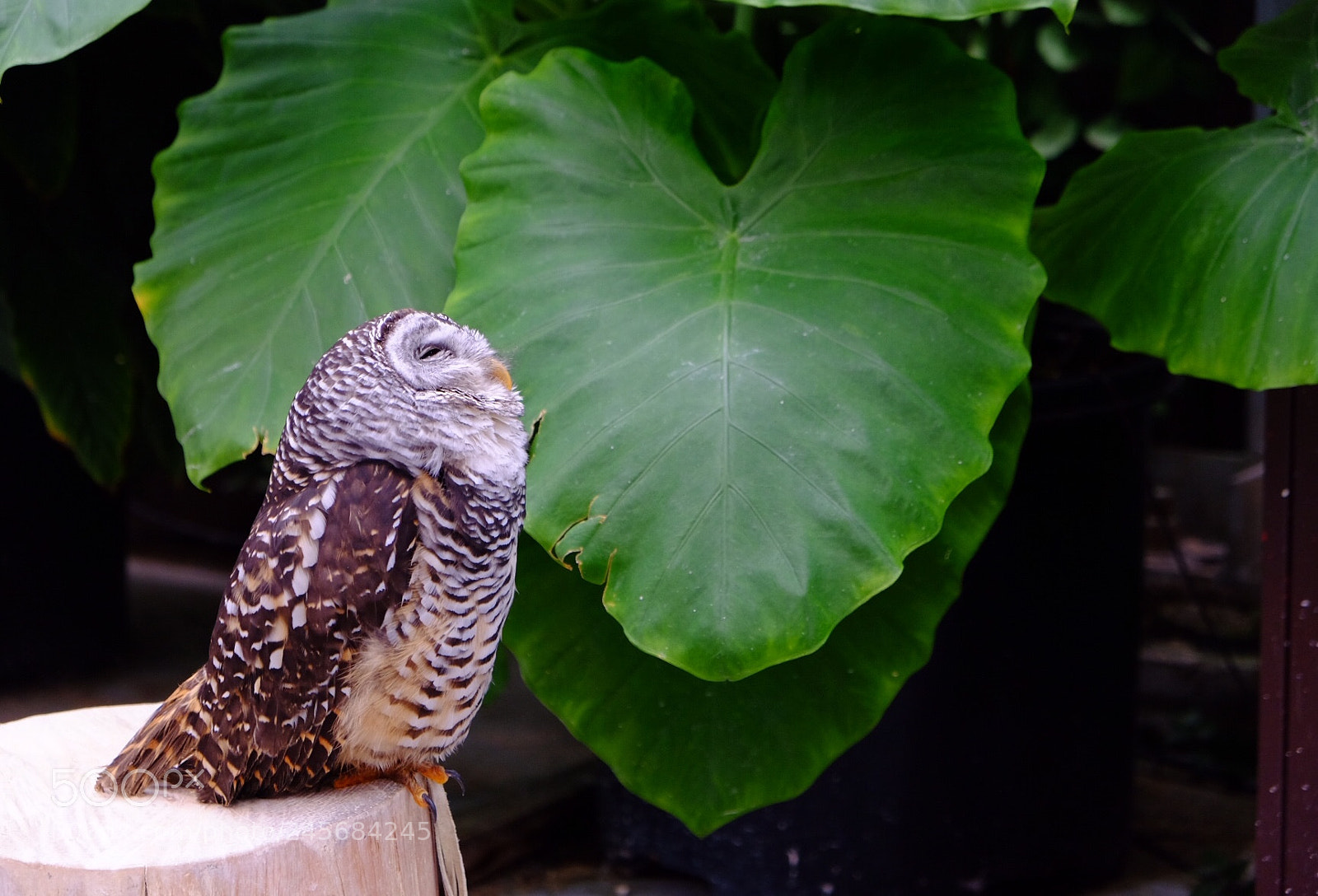 Fujifilm X-T10 sample photo. Reveling… photography