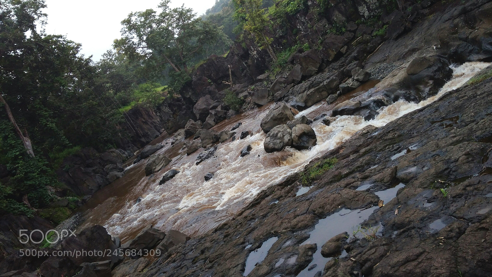 Xiaomi Redmi 4A sample photo. Untitled photography