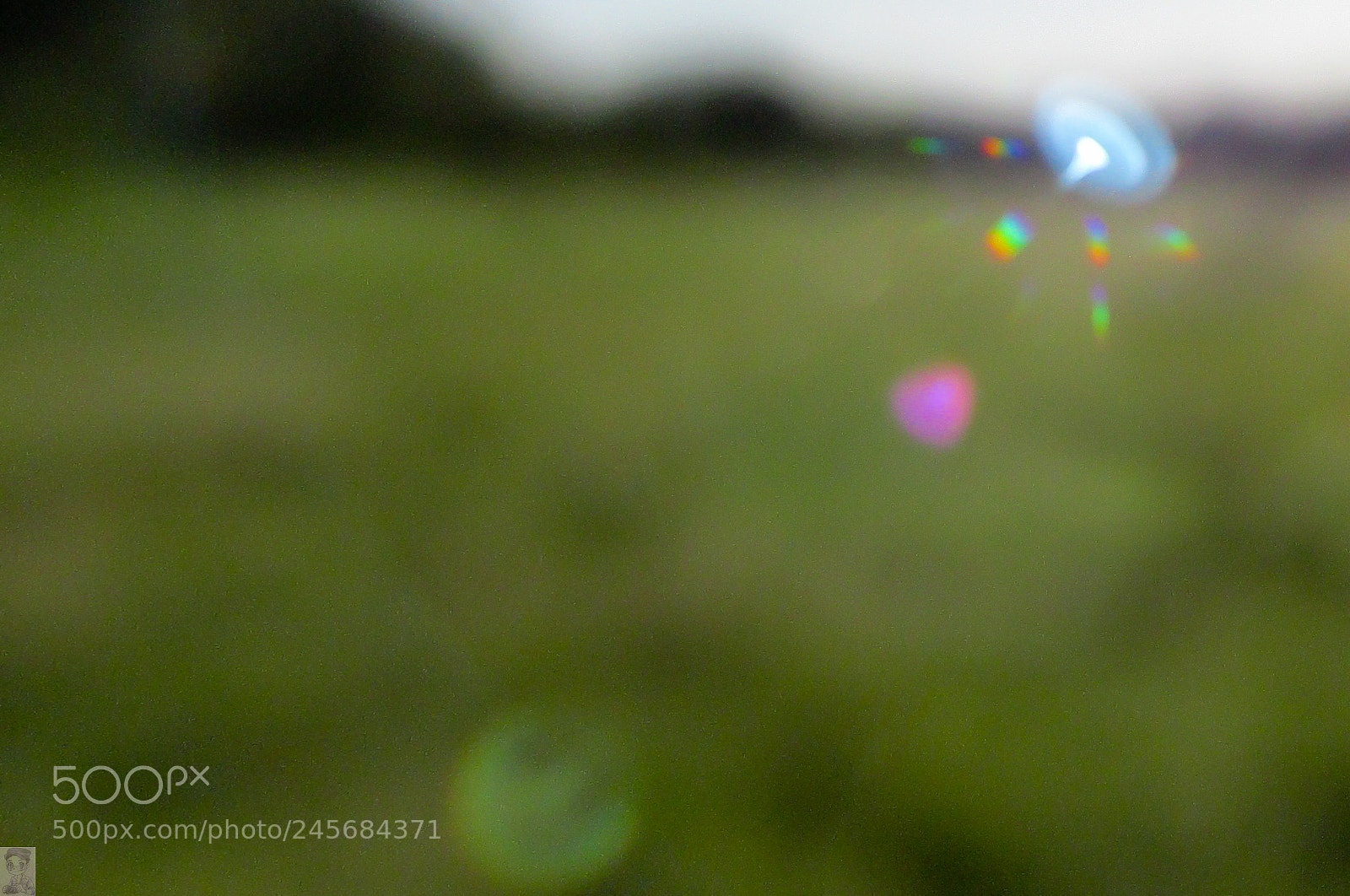 Canon PowerShot SX170 IS sample photo. Jugando con el error photography