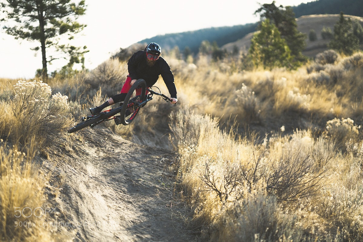 Sony a7R II sample photo. Dylan sherrard photography