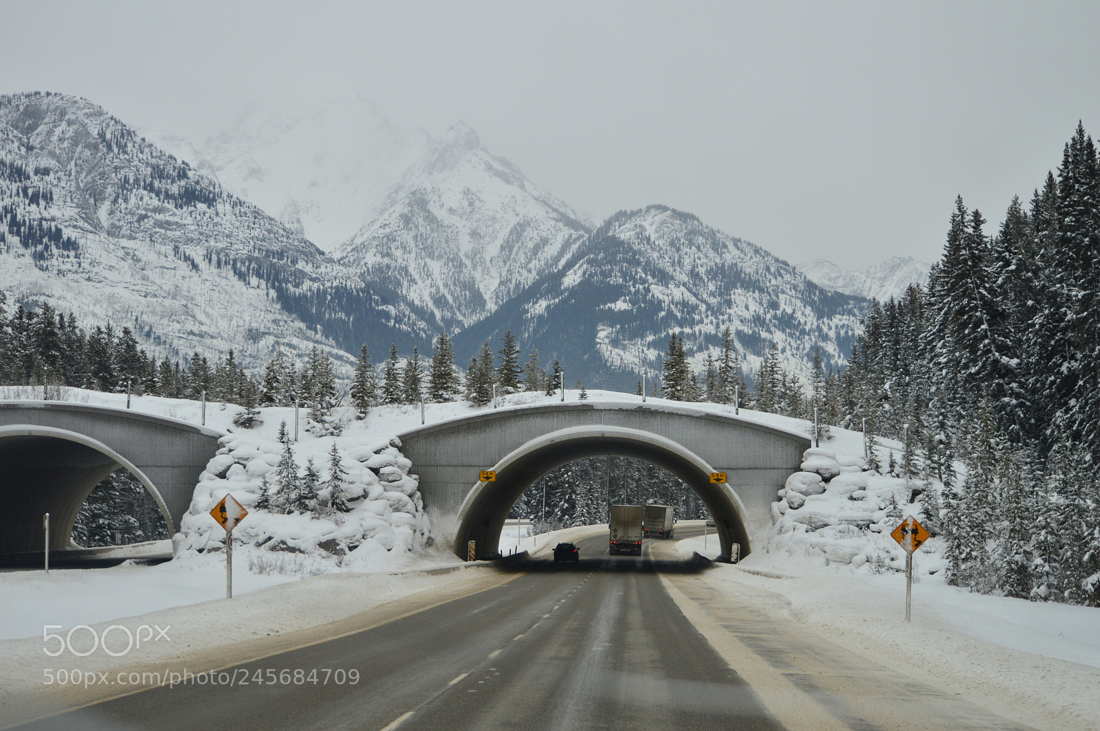 Nikon D3200 sample photo. Safe crossings photography