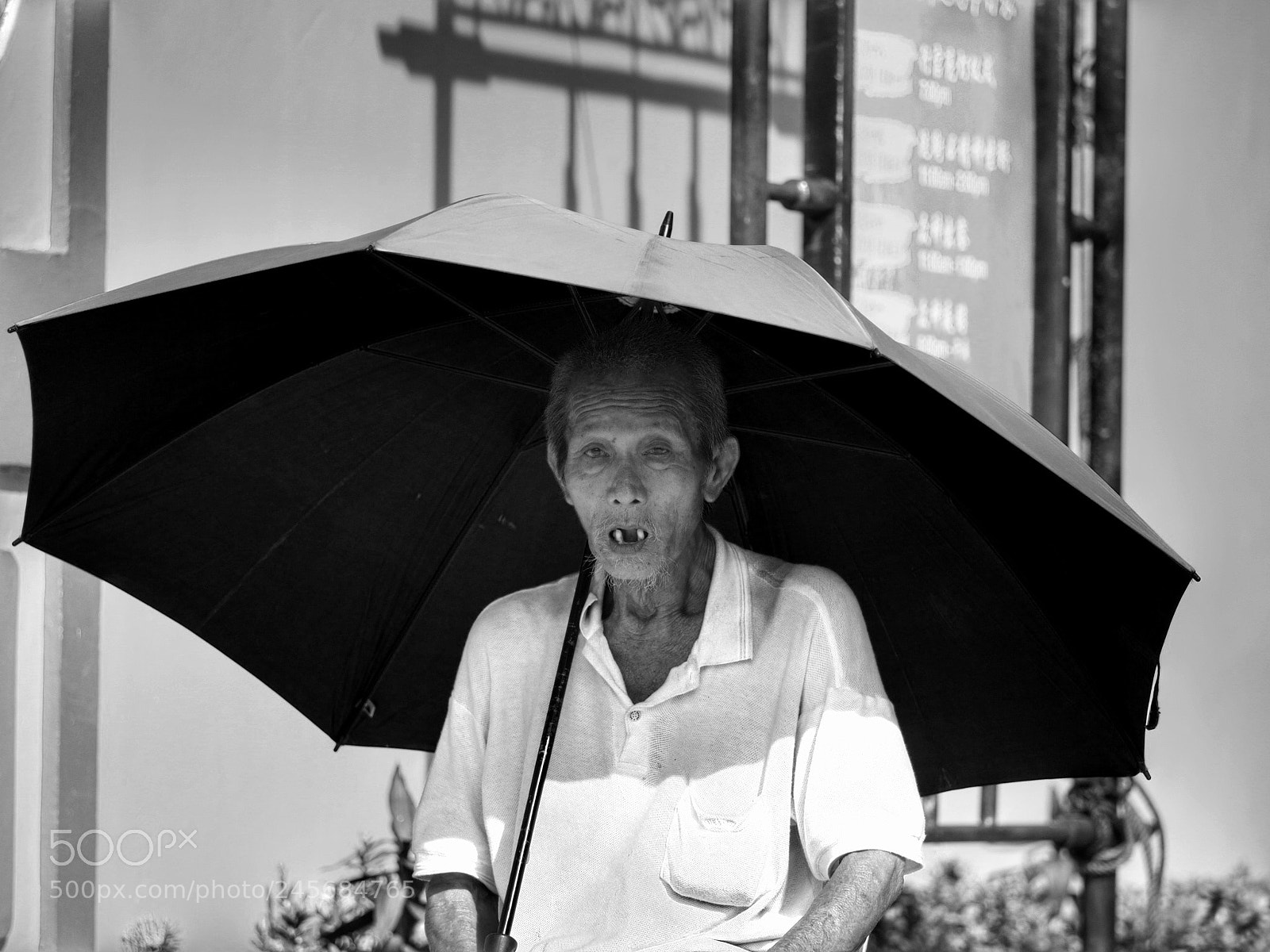 Olympus OM-D E-M1 Mark II sample photo. Untitled photography