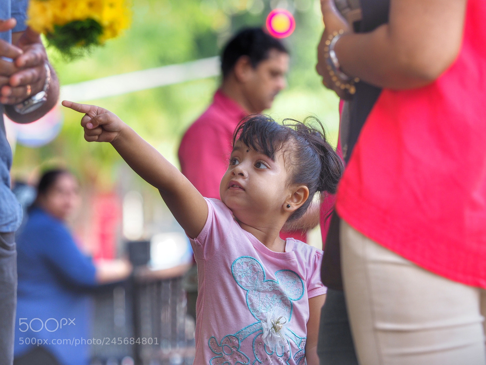 Olympus OM-D E-M1 Mark II sample photo. Untitled photography