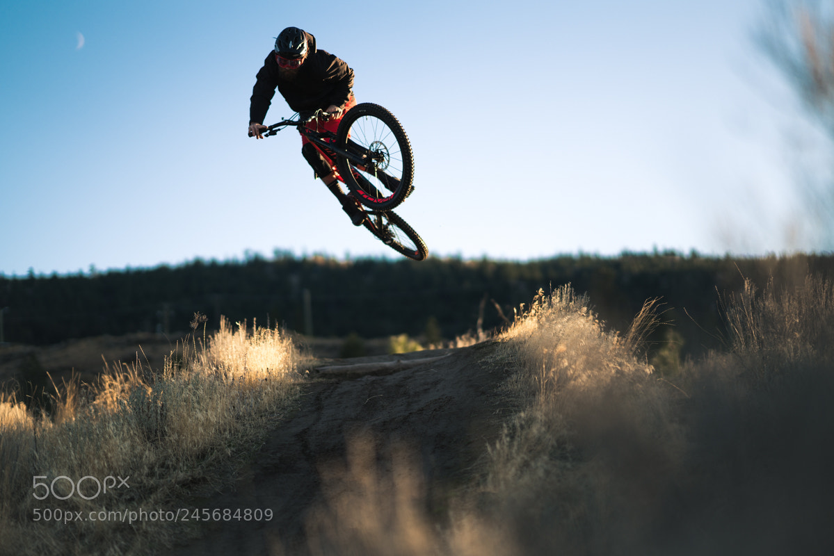 Sony a7R II sample photo. Untitled photography