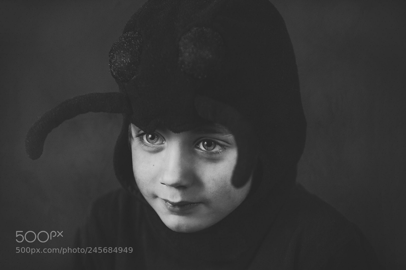 Canon EOS 5D sample photo. The ant photography