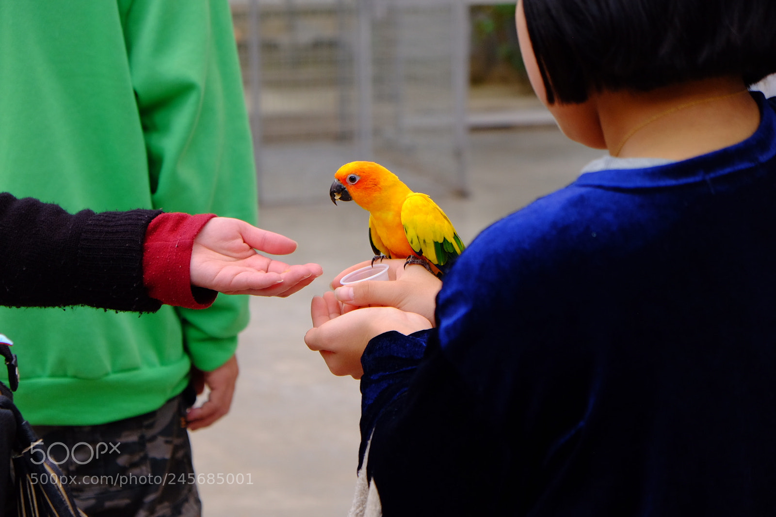 Fujifilm X-T10 sample photo. Giving…receiving photography