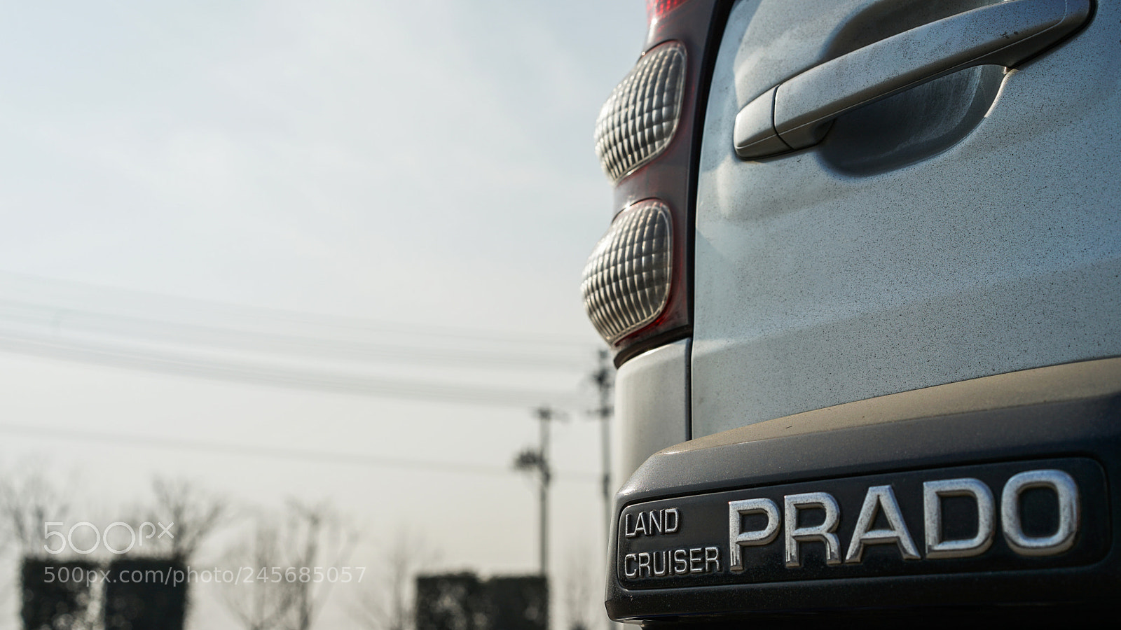 Sony a7 II sample photo. Old friend 老朋友 photography