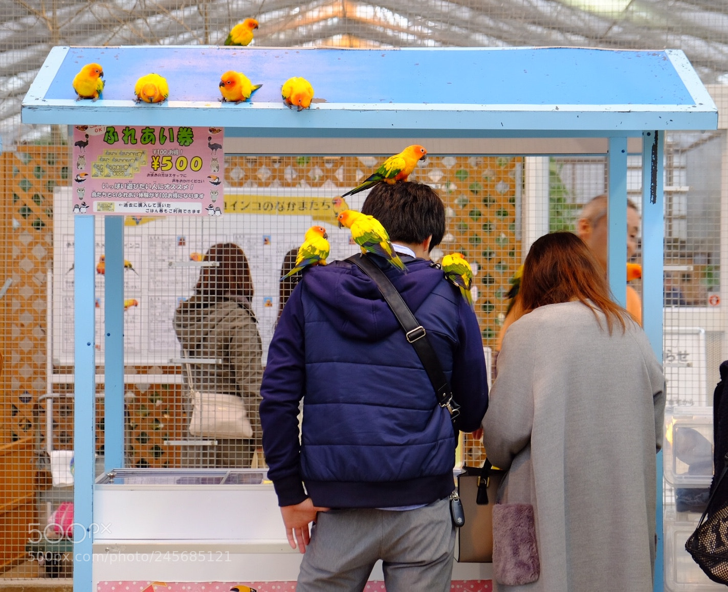 Fujifilm X-T10 sample photo. Untitled photography