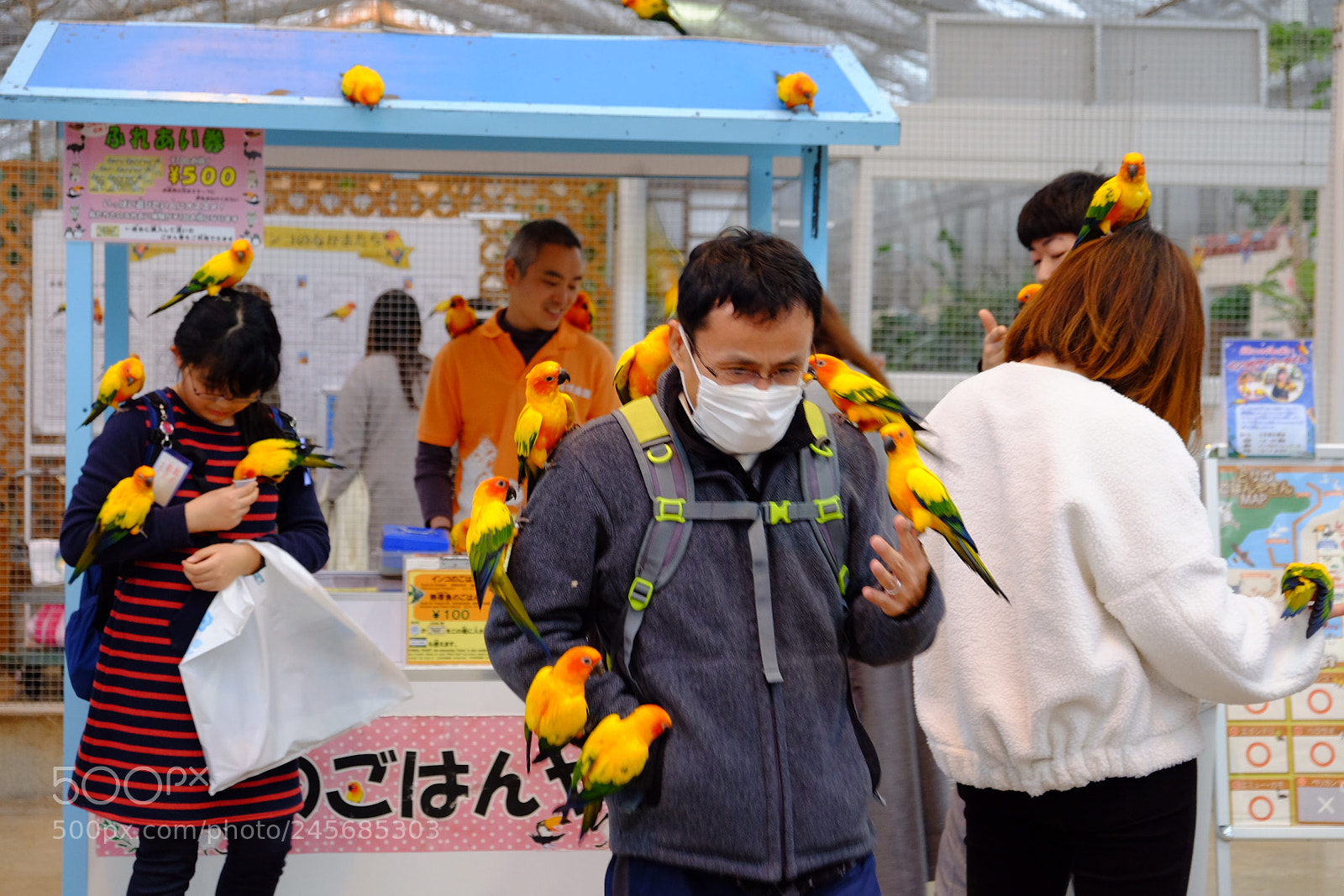 Fujifilm X-T10 sample photo. Lovely photography