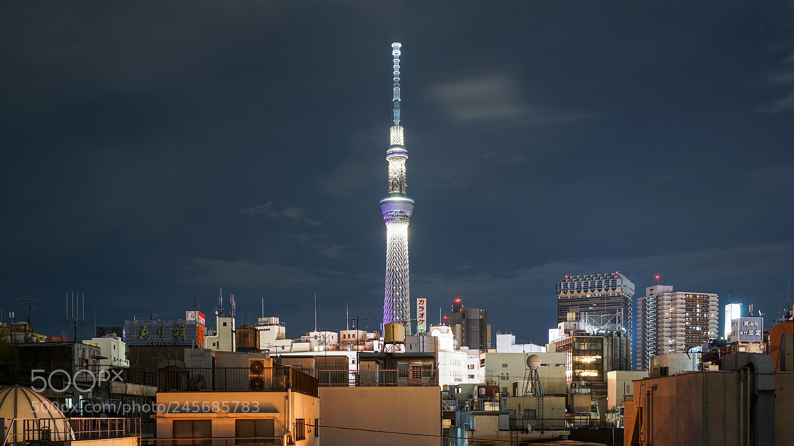 Sony a7 II sample photo. Tokyo skytree 日本天空树 photography