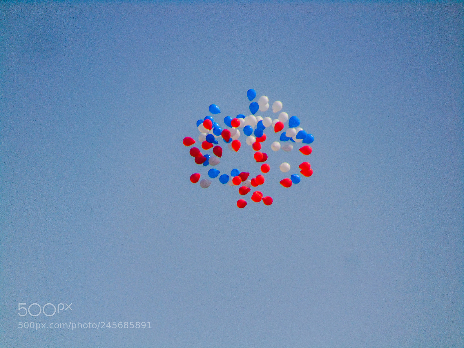 Sony Cyber-shot DSC-H300 sample photo. Happiness is in flying photography