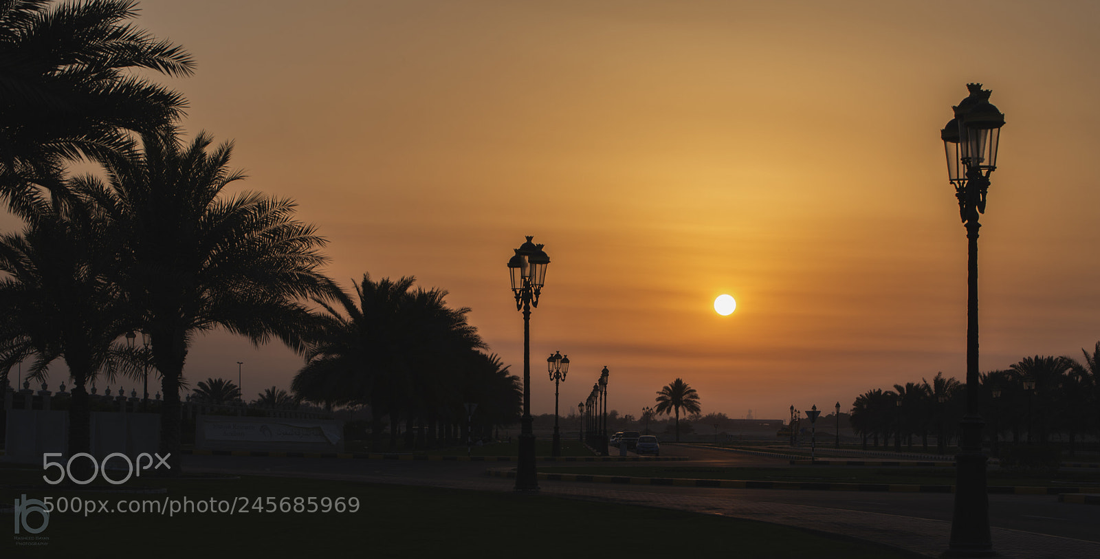 Nikon D610 sample photo. Untitled photography
