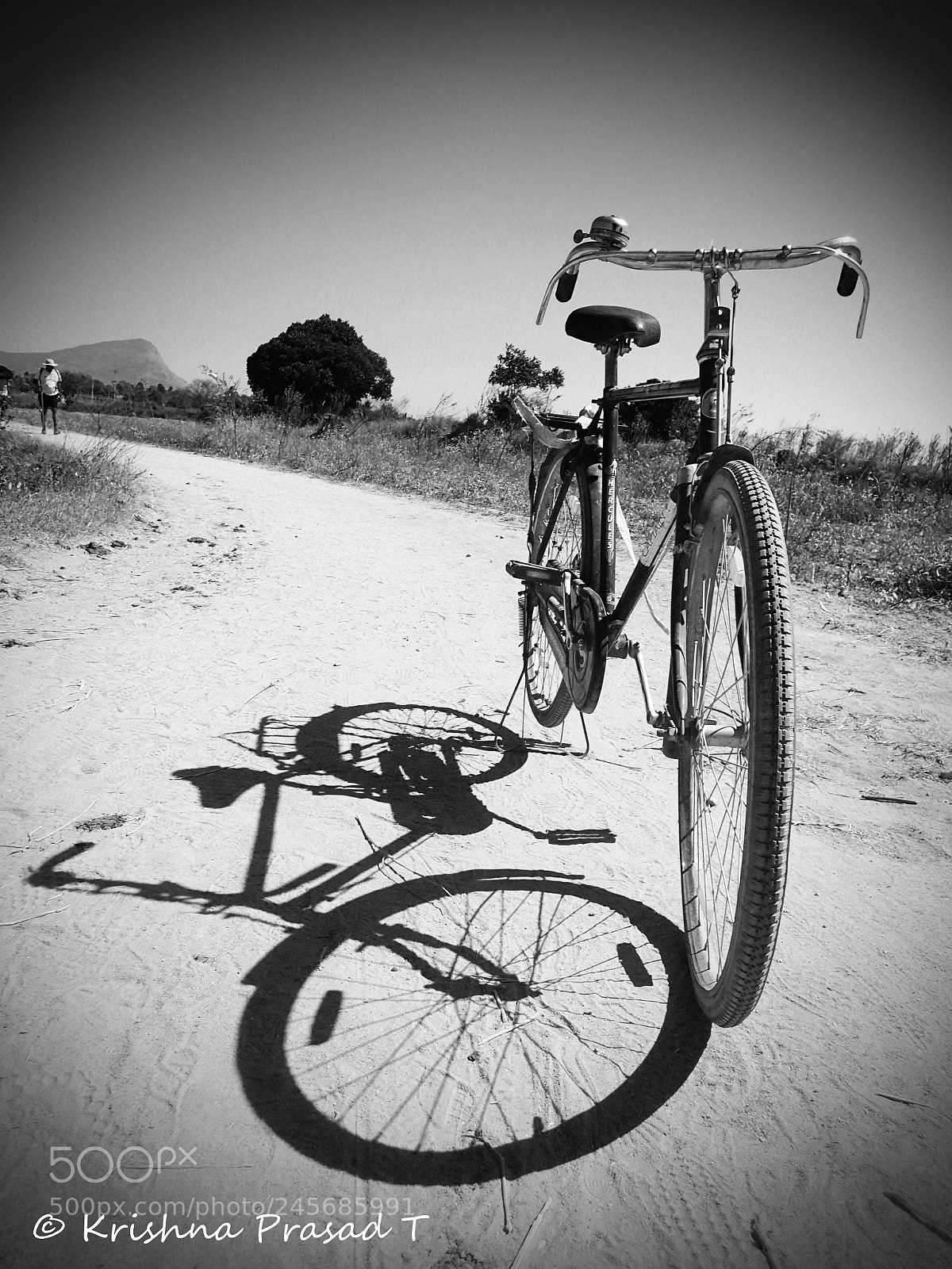 Olympus TG-4 sample photo. Wheels of life photography