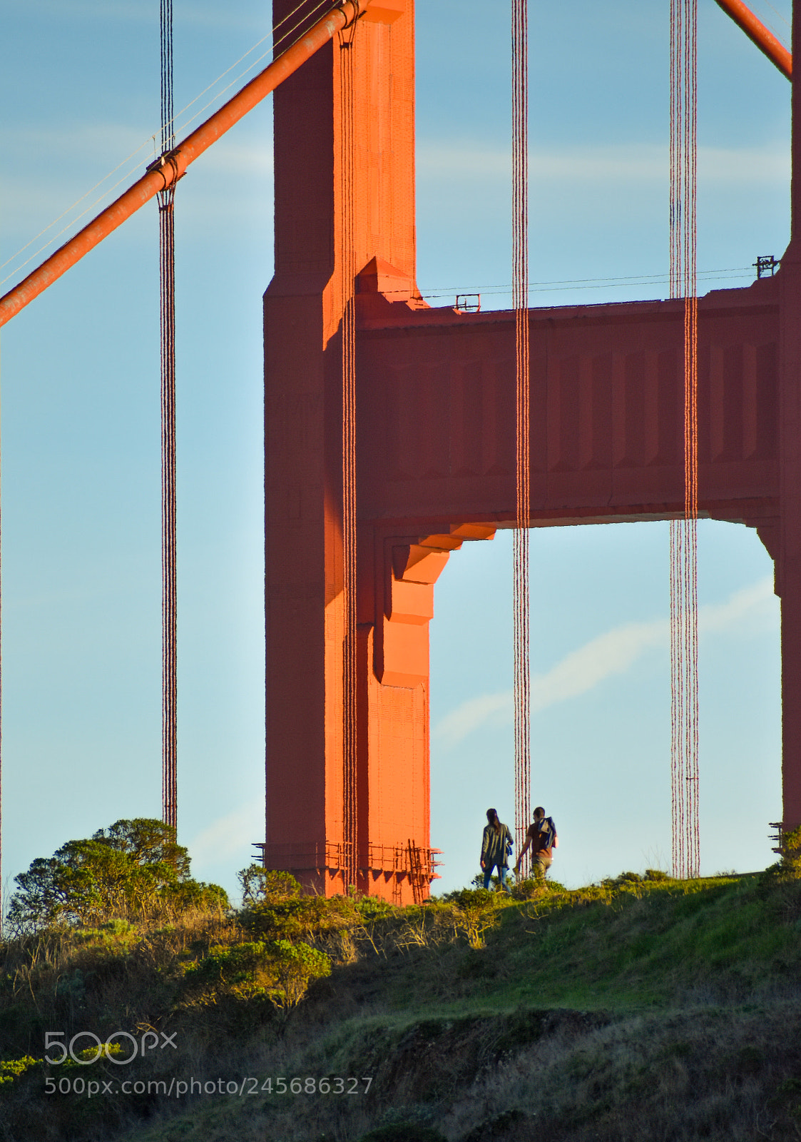 Nikon D3400 sample photo. Golden gate photography