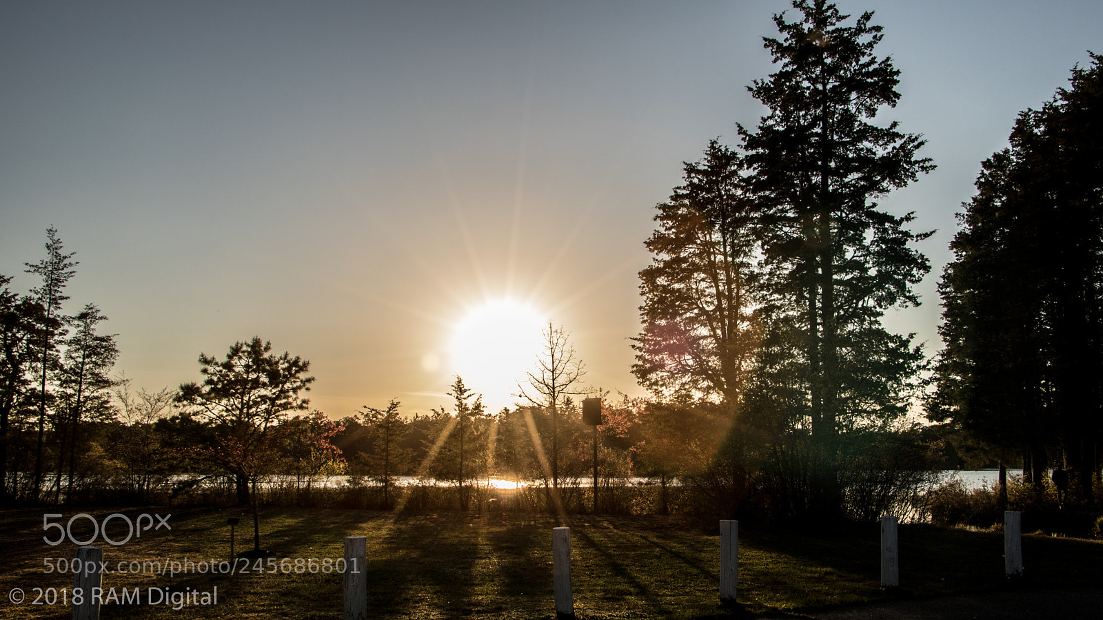 Canon EOS 760D (EOS Rebel T6s / EOS 8000D) sample photo. Rays of light photography