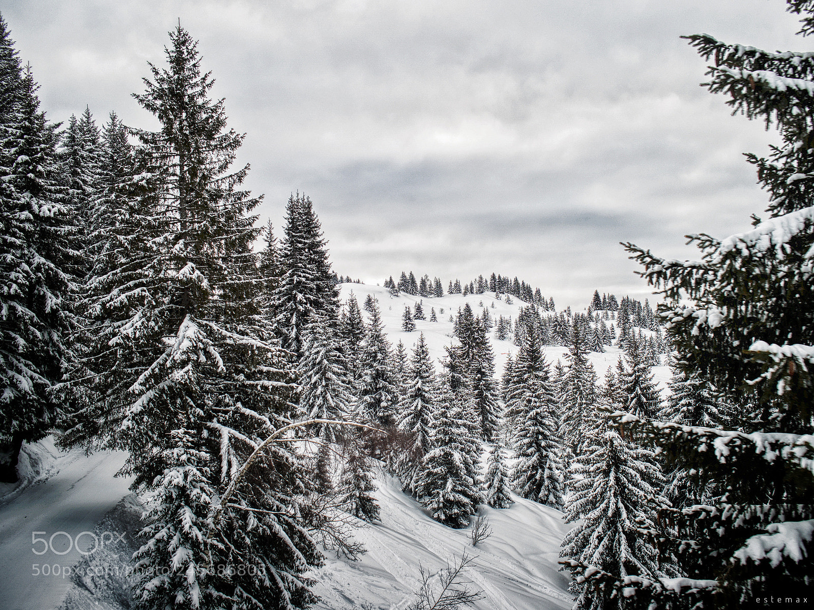 Olympus OM-D E-M1 sample photo. Tout blanc photography