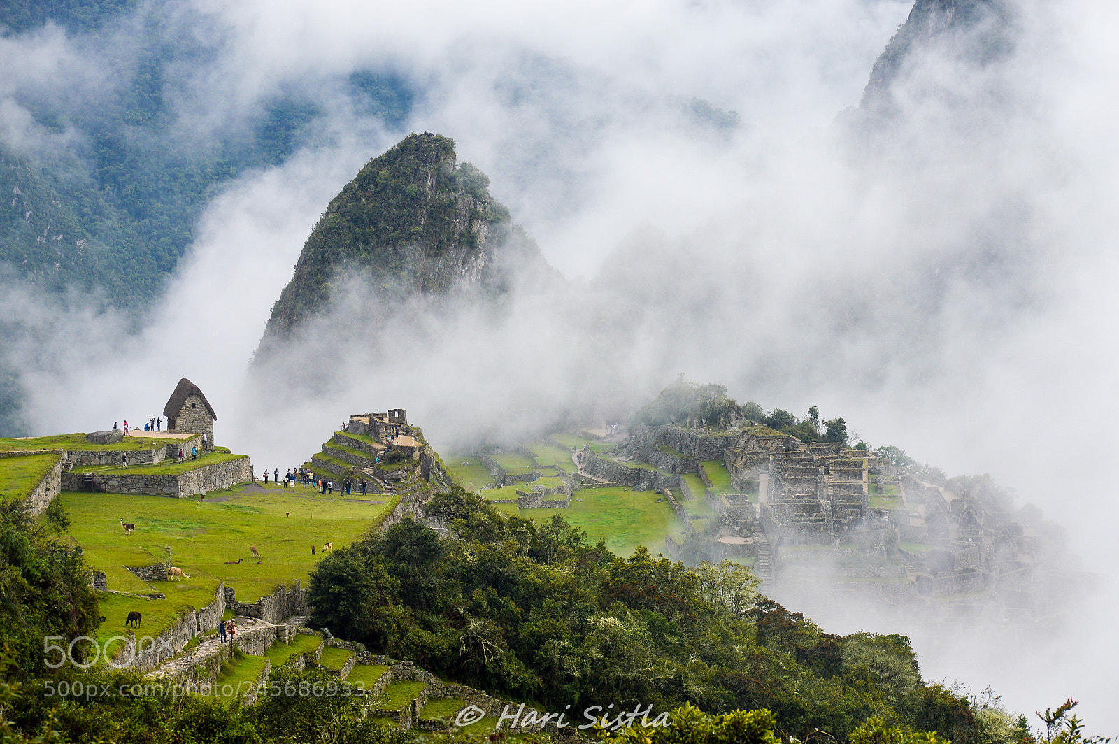 Nikon D3200 sample photo. Machu pichu photography