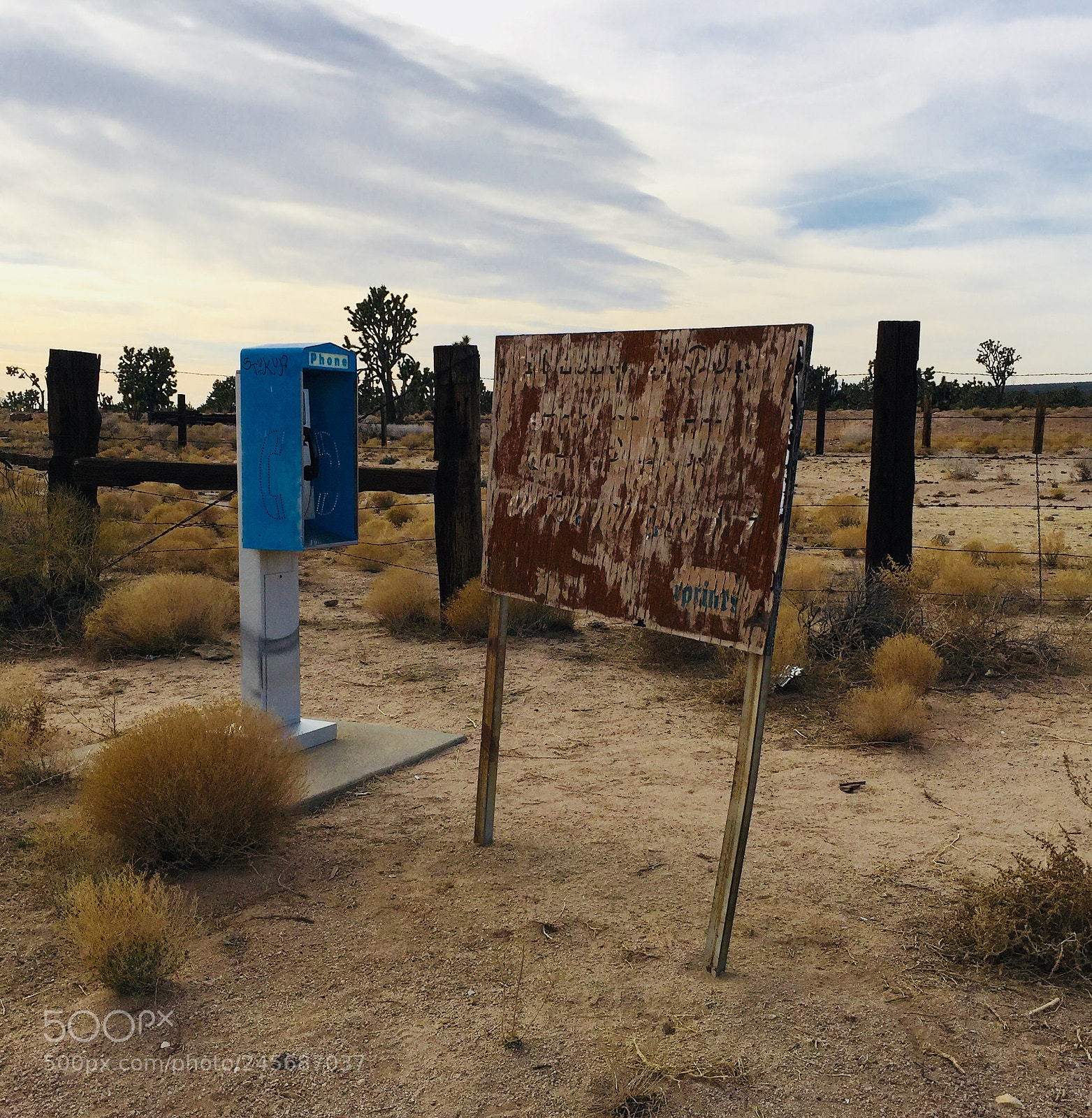 Apple iPhone 6 Plus sample photo. #mojavedesertpreserve 2/10/18 photography