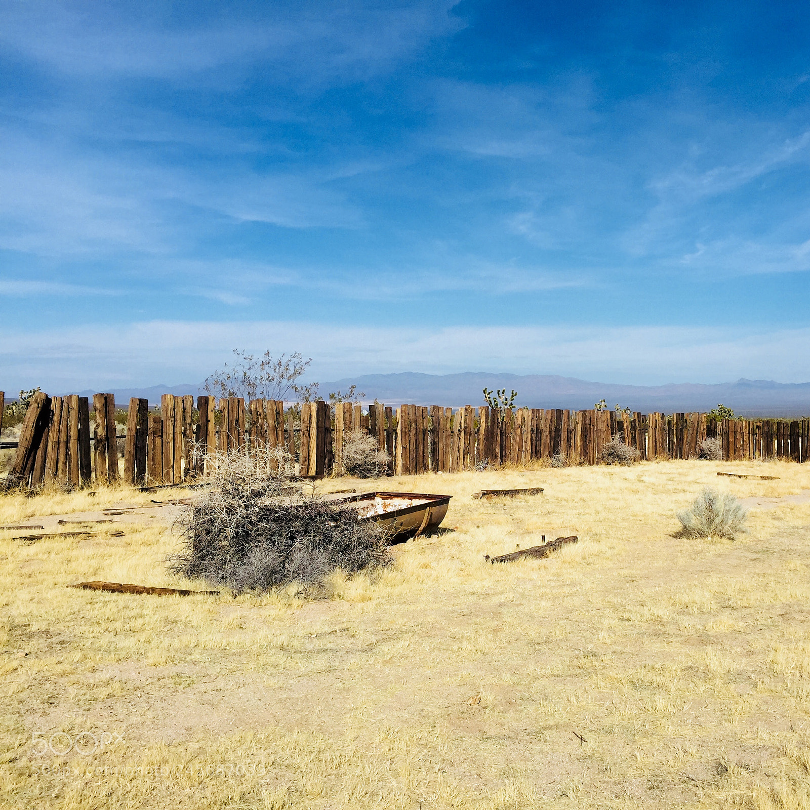 Apple iPhone 6 Plus sample photo. #mojavedesertpreserve 2/10/18 photography