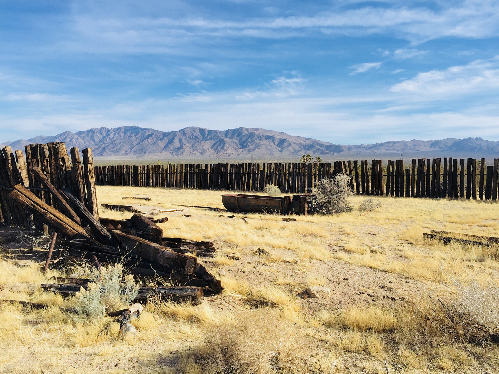 Apple iPhone 6 Plus sample photo. #mojavedesertpreserve 2/10/18 photography